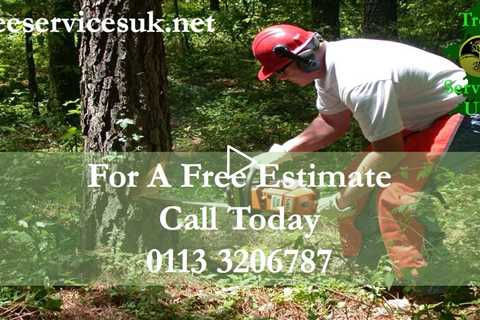 Tree Surgeon Rothwell Leeds LS26 - Tree Felling And Removal Services Stump Grinding West Yorkshire