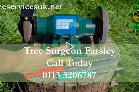 Tree Surgeon Farsley Leeds LS28 - Tree Felling And Removal Services Stump Grinding West Yorkshire