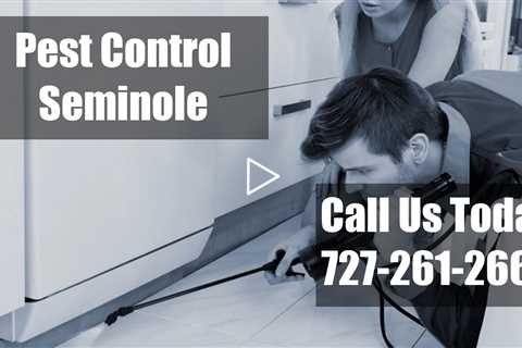 Pest Control Seminole Florida - 24 Hour Emergency Domestic Bug And Termite Exterminators Seminole FL