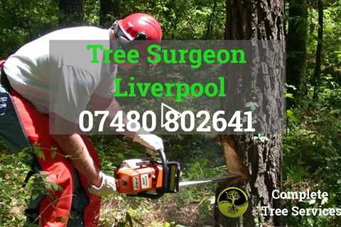 24 Hour Tree Surgeon Liverpool Stump Removal Root Removal Tree Surgery And Other Tree Services