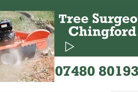 Tree Surgeon Chingford Tree Trimming Stump Root & 24hr Tree Removal Residential & Commercial