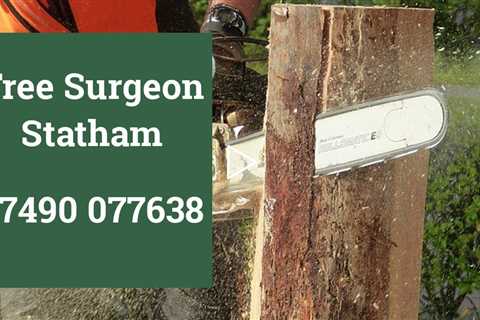 Tree Surgeon Statham Tree Felling Emergency Tree Removal Stump Grinding And Stump Removal Services
