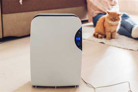 How much do you have to spend on a good dehumidifier?  – The?  Messages