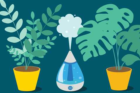 What is the best humidifier for houseplants?