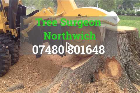 Tree Surgeon Northwich Emergency Tree Surgery Services In Northwich Cheshire Tree Felling Near Me