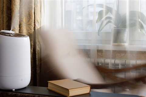 how to buy a humidifier on this best day