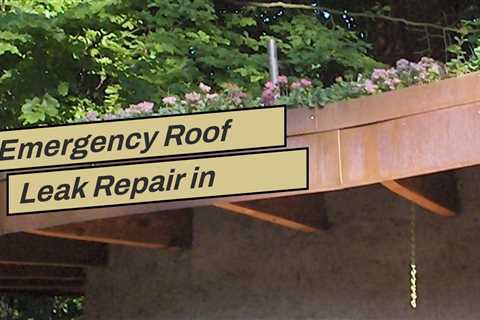 Emergency Roof Leak Repair in Rochester NY