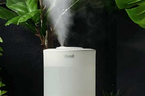 The best humidifier for 2022