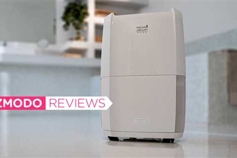 This DeLonghi dehumidifier keeps your home dry and mold free