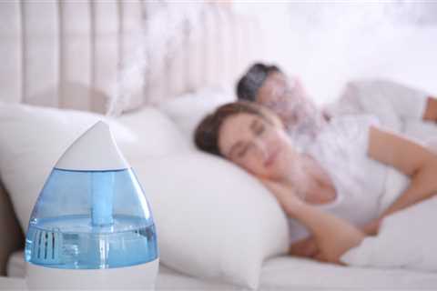 The best humidifier – LifeSavvy