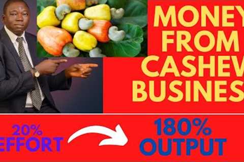 How to make money in cashew business