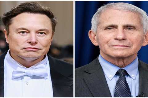 Elon Musk teases release of the 'Fauci Files,' following his previous scathing criticism of the..