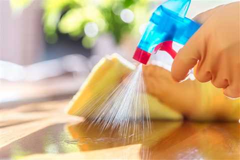 Professional House Cleaning Services Near Me In Hailey Idaho