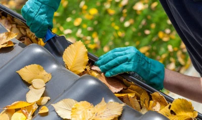 Gutter Cleaning Oldland