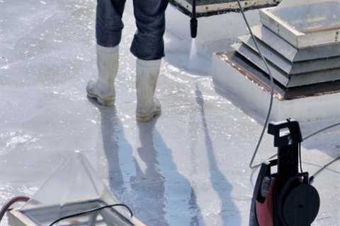 Roof Cleaning Bloomfield