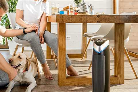 Purify your home with this GermGuardian air purifier