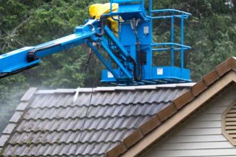 Roof Cleaning Cleeve