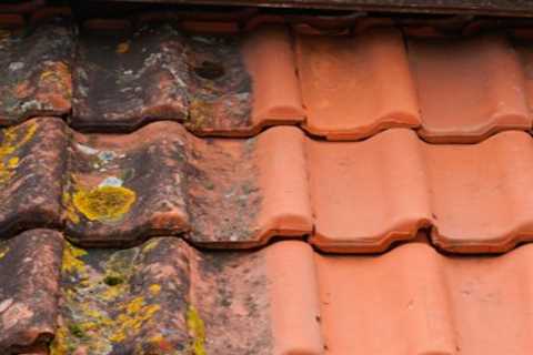 Roof Cleaning Clutton