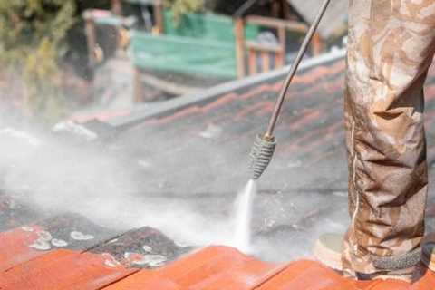 Roof Cleaning Hook