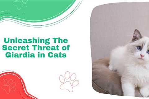 Unleashing The Secret Threat of Giardia in Cats