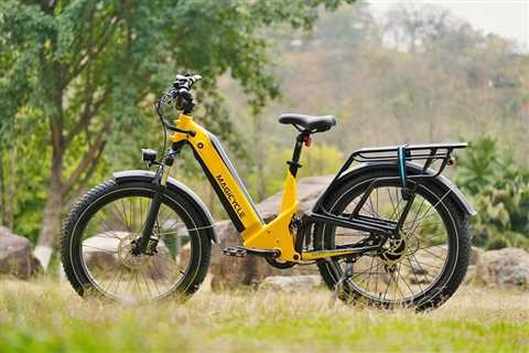 What Are the Advantages of a Fat Tire Electric Bike?