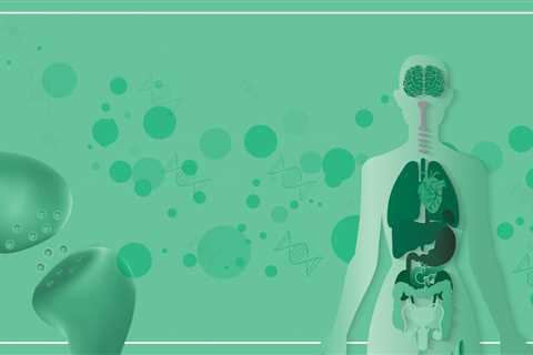 The Endocannabinoid System