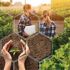 Agriculture Market Forecast: Top Trends That Will Affect Potash and Phosphate in 2023