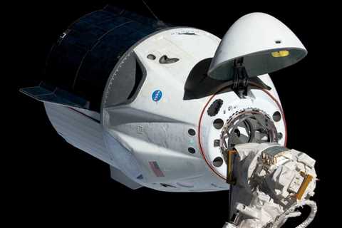 Russians will fly on SpaceX's Crew-7, Crew-8 astronaut missions: report