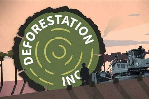 Frequently asked questions about the Deforestation Inc. investigation