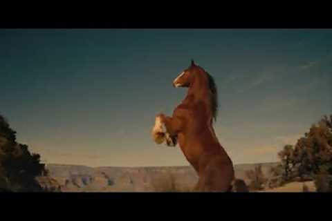 Budweiser | The Shared Spirit