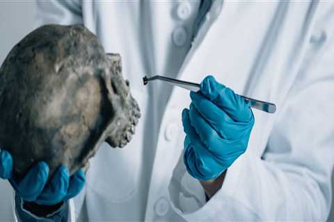 Is Forensic Odontology and Forensic Dentistry the Same? A Comprehensive Guide