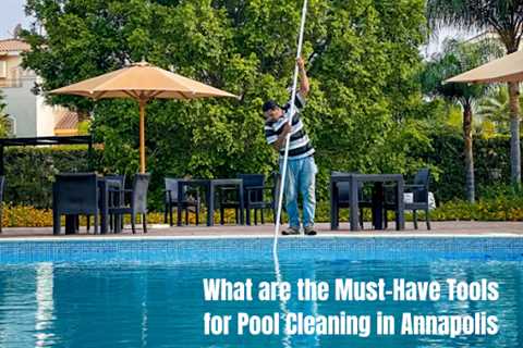 What are the Must-Have Tools for Pool Cleaning in Annapolis