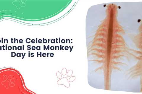 Join the Celebration: National Sea Monkey Day is Here