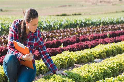 Are Farmers Markets Regulated by the FDA? - An Expert's Perspective