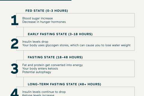 The 4 Stages Of Fasting & Their Benefits: An Hour-By-Hour Breakdown