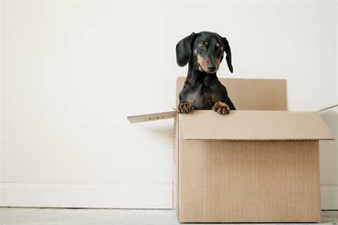 6 Ways You Can Better Organize A House Move