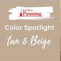Color Spotlight – Tan & Beige