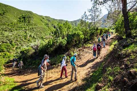 Exploring the Best Outdoor Recreation Areas and Trails in Contra Costa County, CA