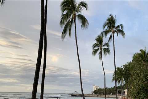 Using Technology to Gain Insights into Customer Behavior and Preferences in Hawaii