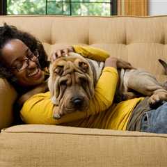 More than half of all renters have at least 1 pet, Zillow finds