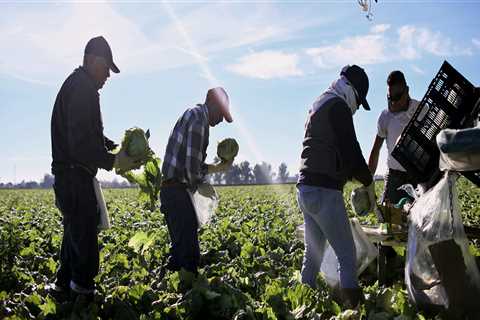 The Role of Chefs in the Farm to Table Movement