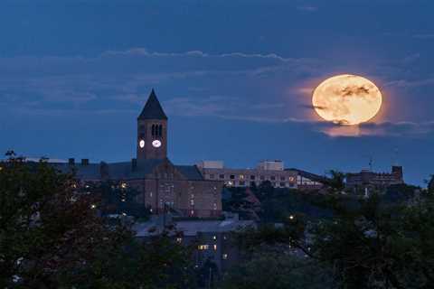 Cornell University students have left campus and are afraid to sleep in their rooms after violent..