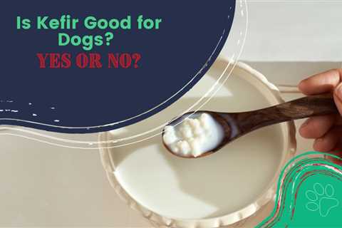 Is Kefir Good for Dogs? Yes or No?