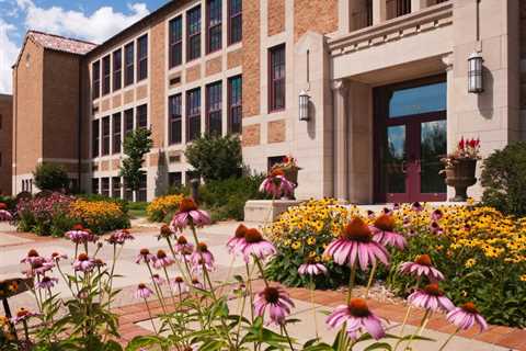 Mitchell Hamline Law Dean Responds to Accusations That School Supports Antisemitism