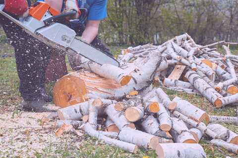 Arborist Move from Greenpoint to East Village