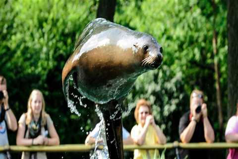 Environmental Groups in Bronx, NY: Protecting Wildlife and Natural Habitats