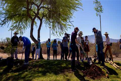 The Impact of Voluntary Organizations in Tucson, AZ on the Local Community