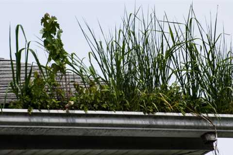 Gutter Cleaning Harden