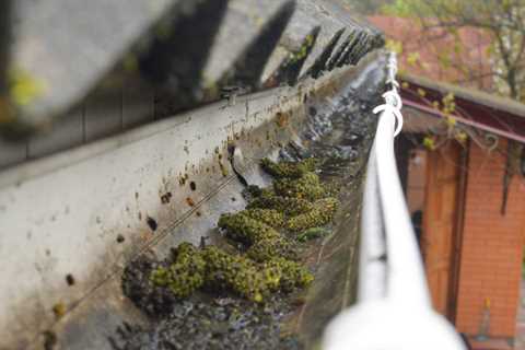 Gutter Cleaning Hatherton