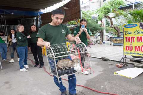 A Vietnamese restaurant that drowned up to 300 cats a month has shut. Its owner apologized for..